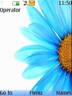 Blue Flower -  1