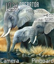 Elephants -  1