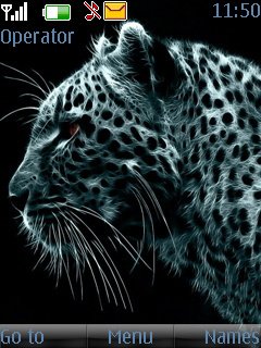 leopard -  1