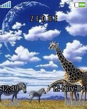 Zoo -  1