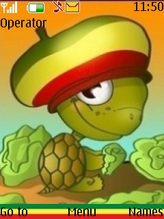 Rasta Turtle -  1