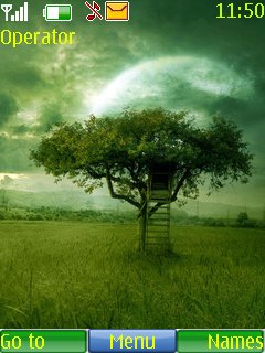 Lonely Tree -  1