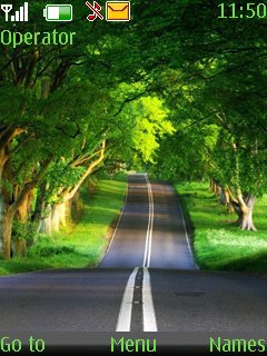 Tunnel Tree -  1