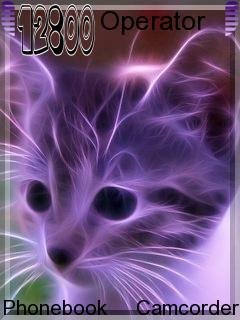 Purple Cat -  1