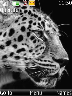 Leopard Black White -  1