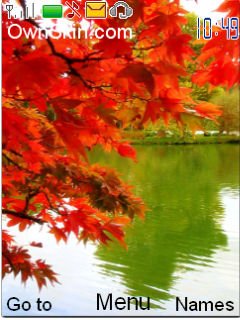 Red Leaves -  1