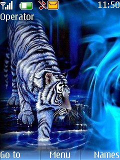 Tiger Blue -  1