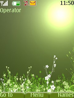 Green With Sun -  1
