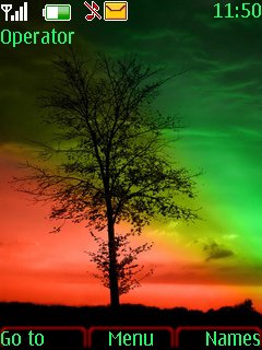 Rainbow And Tree -  1