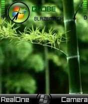 Vista Bamboo -  1