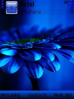 Blue Flower -  1