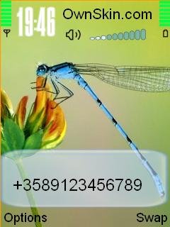 Dragonfly -  1