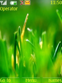 Green Grass -  1