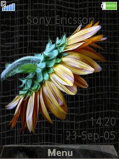 Creative Sunflower -  1