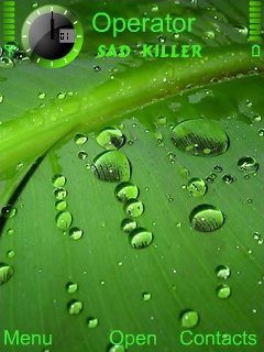 Green Drops -  1