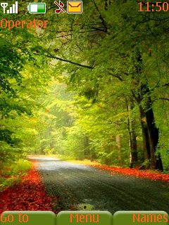 Beautiful Road -  1