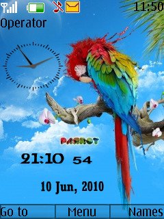 Parrot Clock -  1