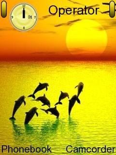 Sunset Dolphin -  1