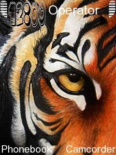Tiger Eyes -  1