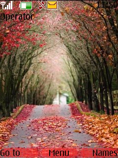 Beautiful Road -  1