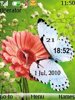 Butterfly Dual Clock -  1