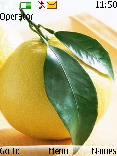 Lemon -  1