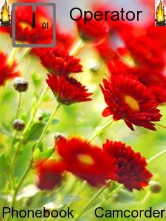 Red Flowers -  1