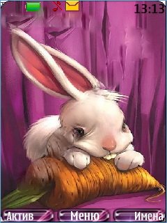 bunny -  1