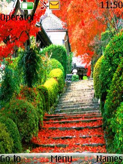 Flowers At Stairs -  1