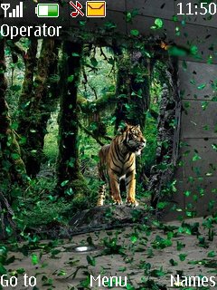 Nature And Tiger -  1