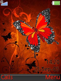 Butterfly Magic -  1