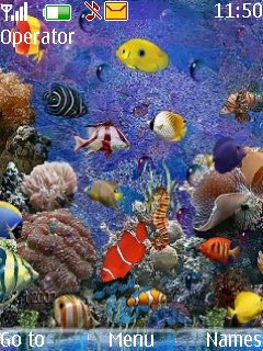 Aquarium New -  1