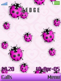 Ladybugs -  1