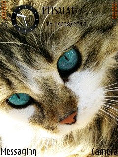 Blue Cat Eyes -  1