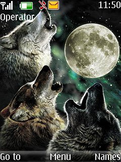 Wolf Night -  1
