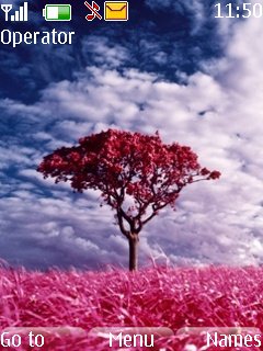 Pink Nature -  1