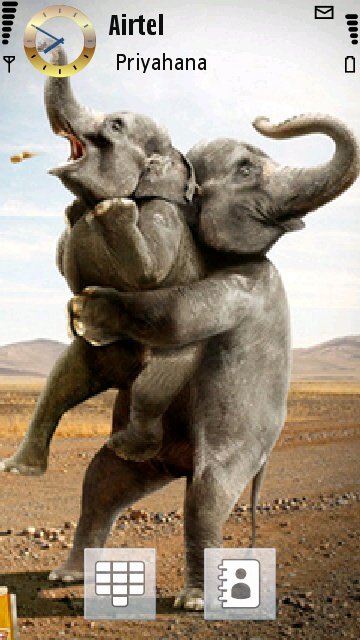 Funny Elephants -  1