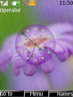 flower clock -  1