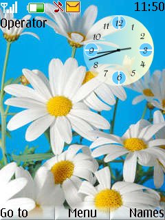 Flowers Clock -  1