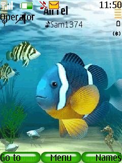 Fish Aquarium -  1