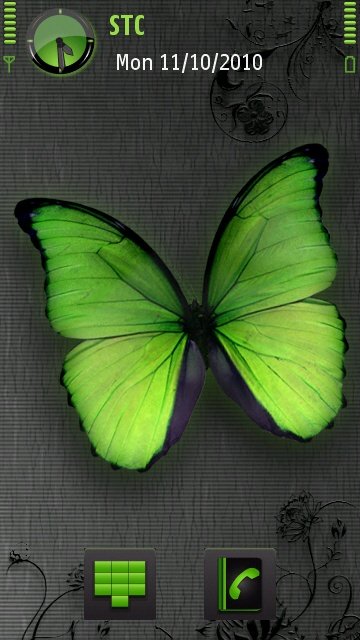 Butterfly -  1