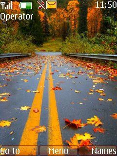 Autumn Road -  1