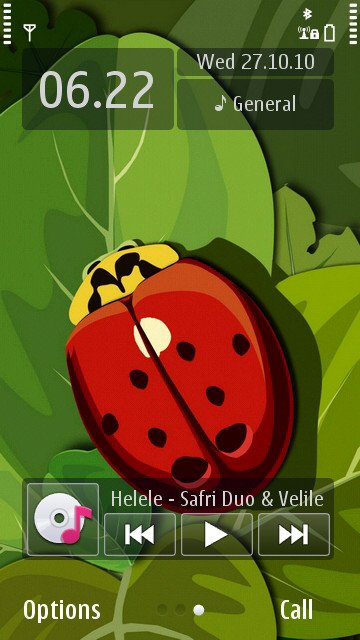 Lady Bug -  1