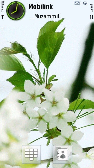 White flowers -  1