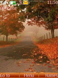 Autumn Road -  1