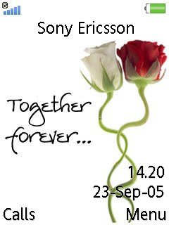 Together Forever -  1
