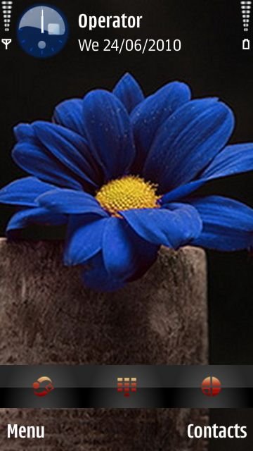 blue Flower -  1