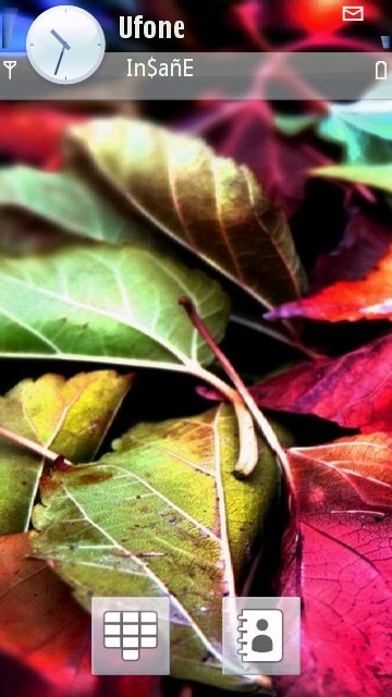 Colored Leaves -  1