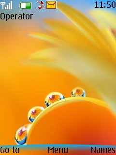 Flower Drops -  1