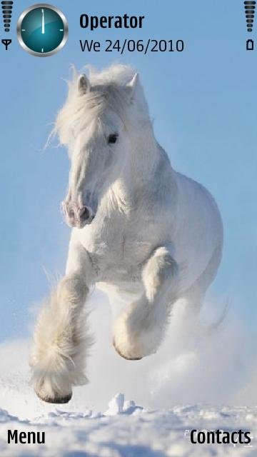 White Horse -  1